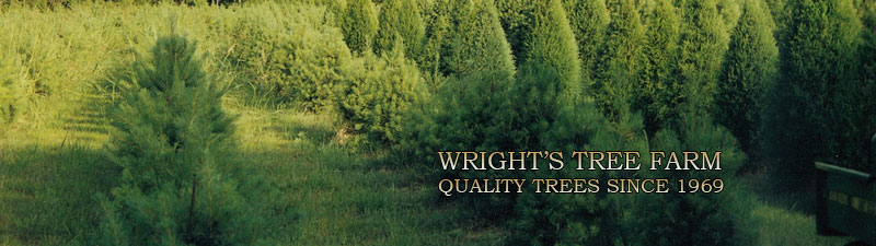 Picture of Wright's Tree Farm