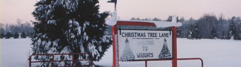Picture of Wright's Tree Farm during snow